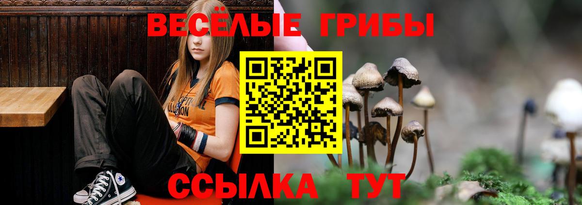 Галлюциногенные грибы прущие грибы Саранск